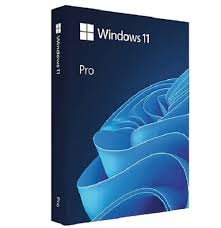 Windows 11 Pro Upgrade